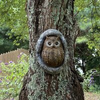 Design Toscano Octavius Knothole Owl Tree Statue & Reviews | Wayfair